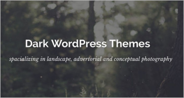 20+ Best Dark WordPress Themes