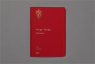 25+ Printable Free Passport Templates PSD, Illustrator Designs