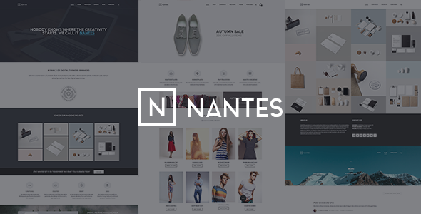 Online Store WooCommerce Themes