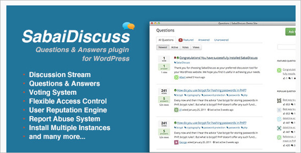 Question & Answer discussion WordPress Theme