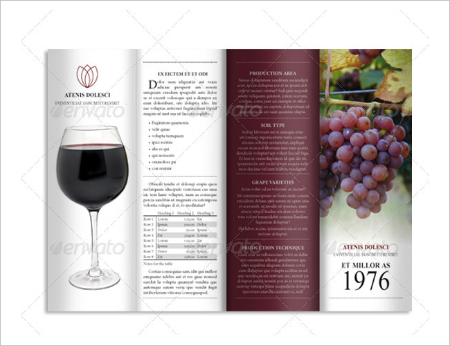 Fold Accordion Wine Brochure