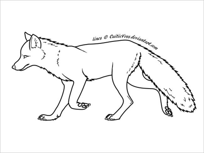 Fox Template Coloring Page Design