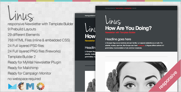 Linus Newsletter Website Template