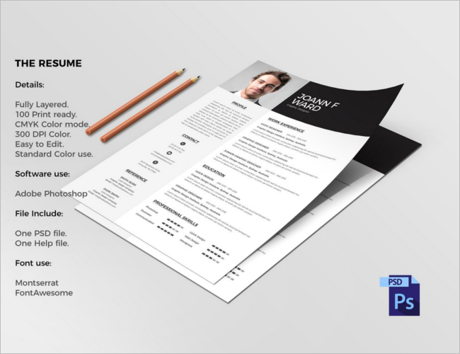 Resume Layout Model Template