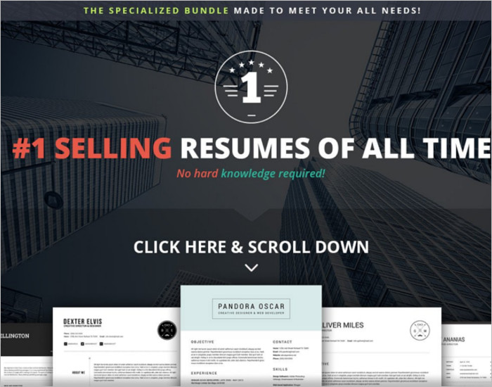 Sellers Resume PSD Template
