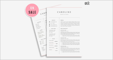 18+ Best Functional Resume Templates