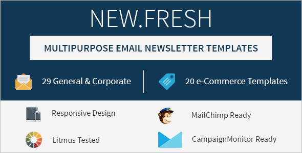 Website Email Newsletter Template