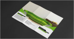 25+ Interior Design Brochure PDF Templates