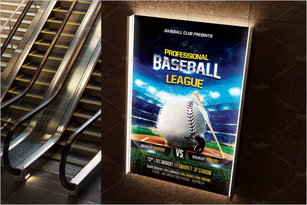 Amazing Baseball Stadium Flyer