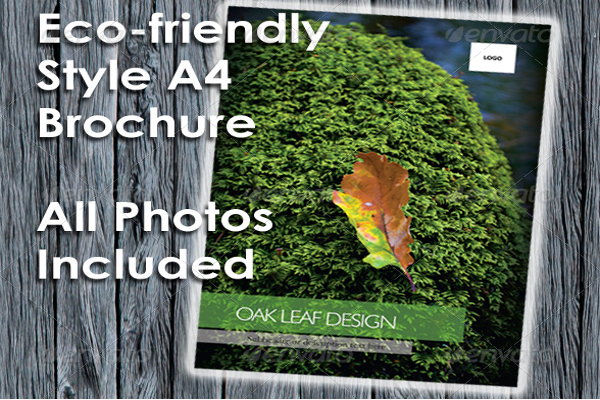 Autumn Leaves Brochure Design