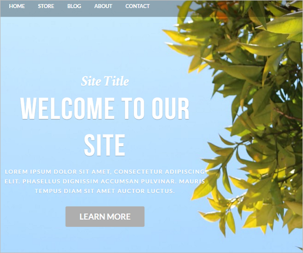 Blog Weebly Template
