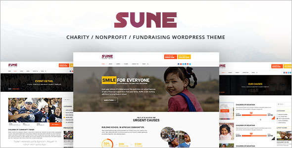 Customize Fundraising WordPress Theme