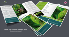 16+ Best Green Brochure PSD Templates
