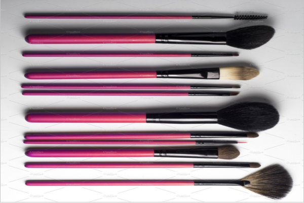 Professional Isolated Glamour Bristles