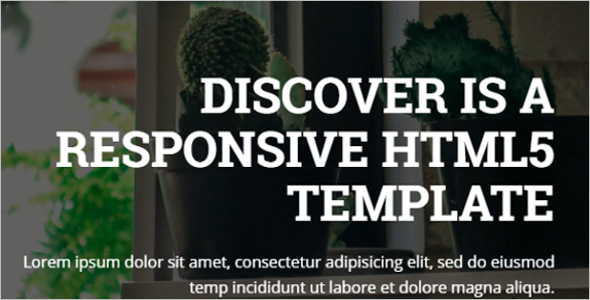Responsive Discover Web Slider Template