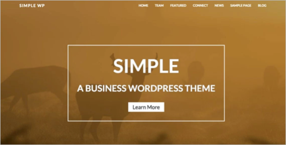 Effective WordPress Template