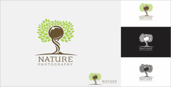 Photography logo Design Template