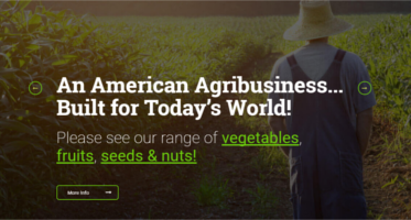 4+ Best Agriculture Magento Templates