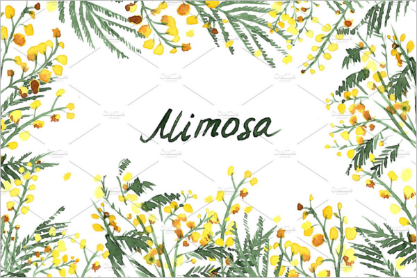 Mimosa Watercolor Pattern