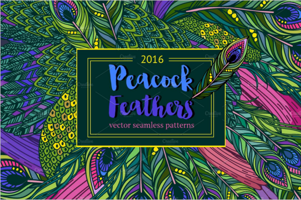 Peacock Graphic Feathers