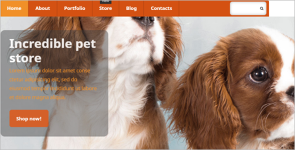 Pets Online Store WooCommerce Theme