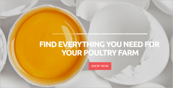 Poultry Farm Magento Template