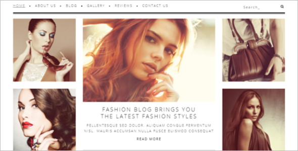Professional Fashion Blog Theme
