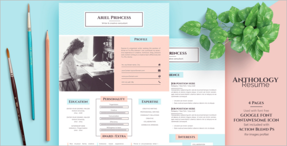 Professional Sketch PSD Template