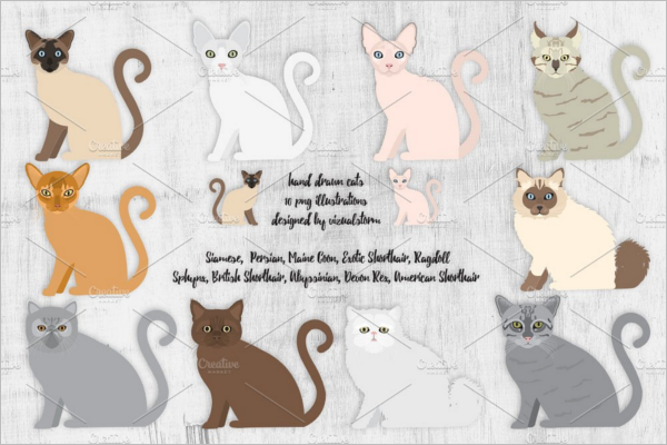 Cats Birthday Party Design