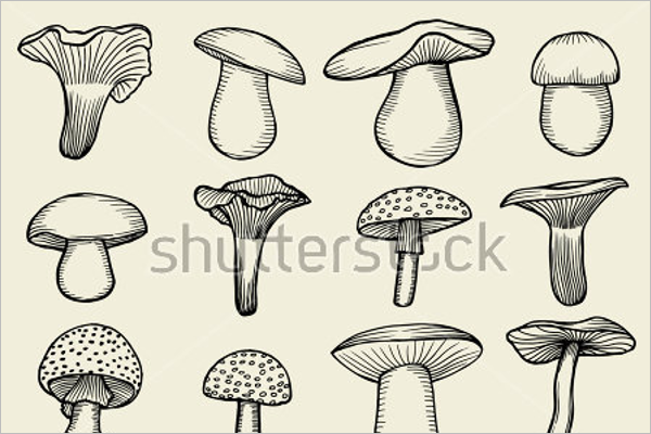 Free Mushroom Design