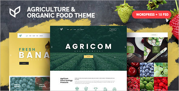 FreshÂ Organic Food WordPress Theme