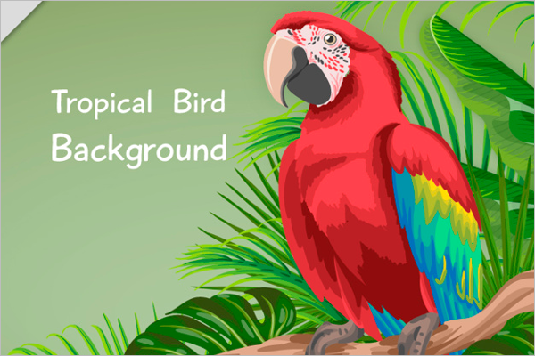 Tropical Bird Pattern