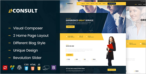 Analytical Consultant Business WordPress Theme
