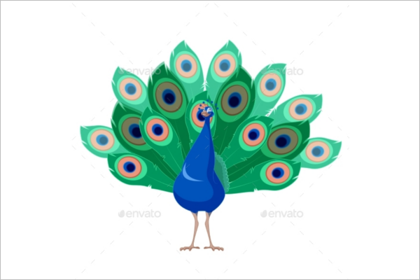 Cartoon Peacock Pattern