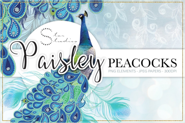 Paisley Peacock Patterns