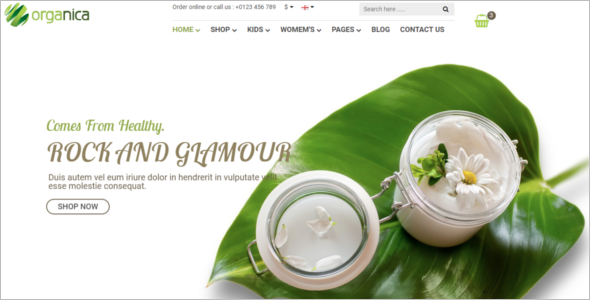 Cosmetic Website Template