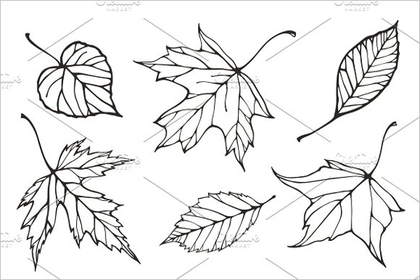 Leaves Pattern Illustration