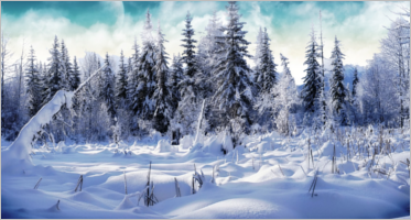 100+ Winter Background Templates