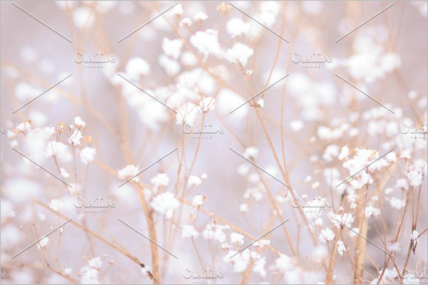Winter Plant Background Template