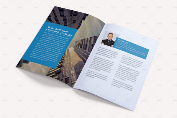 Business Brochure Example Template