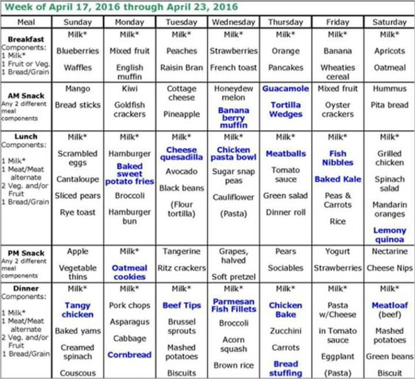 15+ Daycare Menu Templates Free Ideas, Samples, Examples