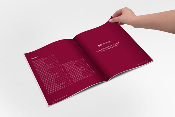 InDesign Brochure PDF