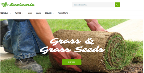 Modern Agriculture Website Template