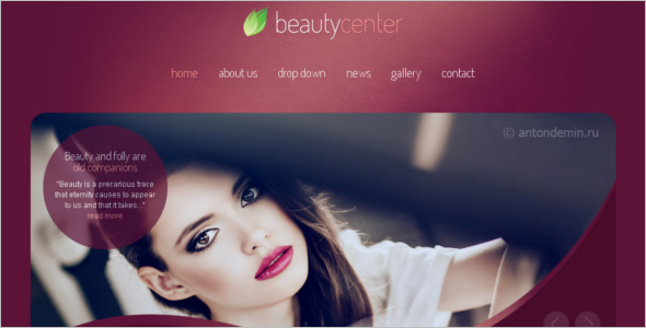 CSS Beauty Website Template