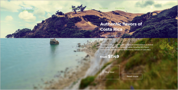 Free CSS Template For Travel Website