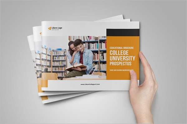 management University Brochure Design