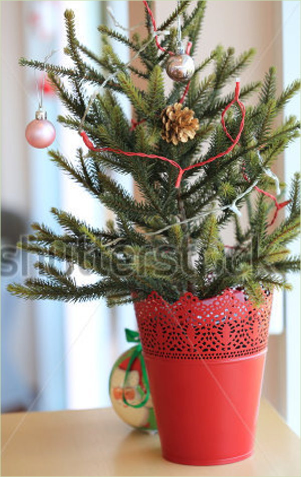 Miniature Christmas Tree Idea