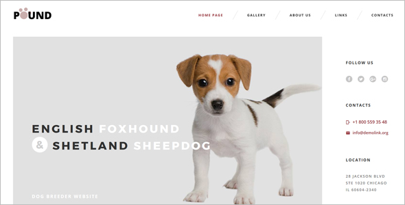 Pet's Care Website Template