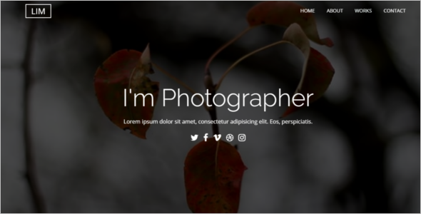 Photographer Website Template