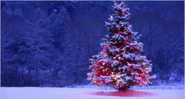38+ Best Xmas Tree Images to Spark Holiday Joy